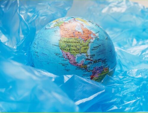 DÍA MUNDIAL DEL MEDIOAMBIENTE: EL FUTURO YA ES UNA REALIDAD