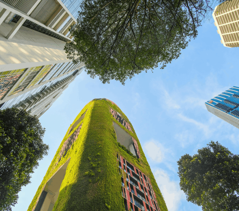 ¿CÓMO CONVERTIR TU OFICINA  EN UN ESPACIO MÁS ECOLÓGICO?