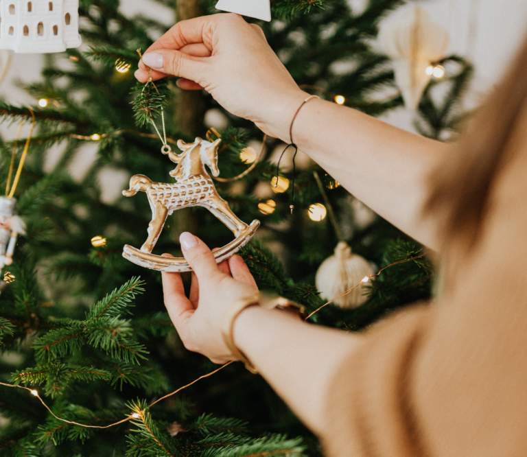 EL MEJOR REGALO PARA EL PLANETA, UNAS NAVIDADES SOSTENIBLES